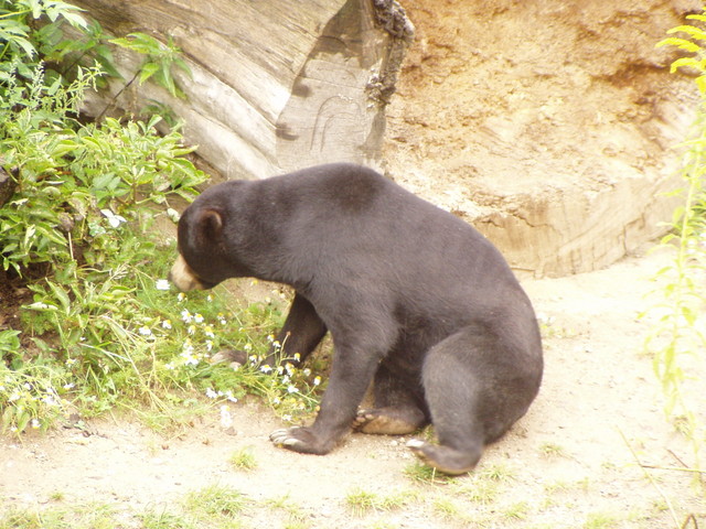 p8200209