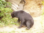 p8200209