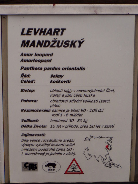 p8200211
