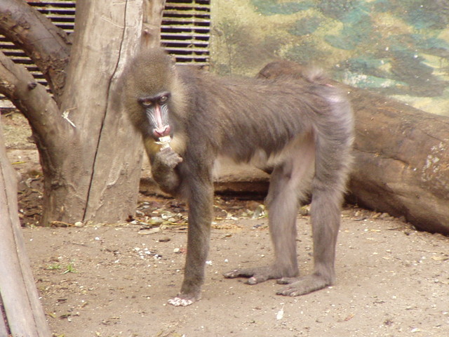 p8200219
