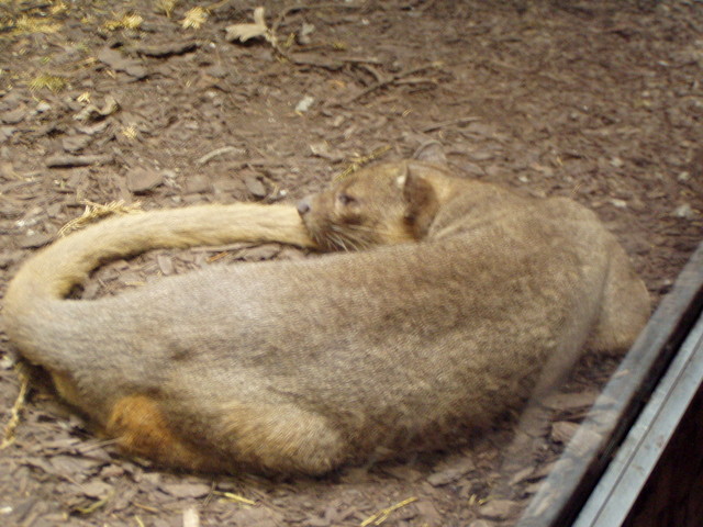 p8200230