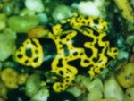 p8200243