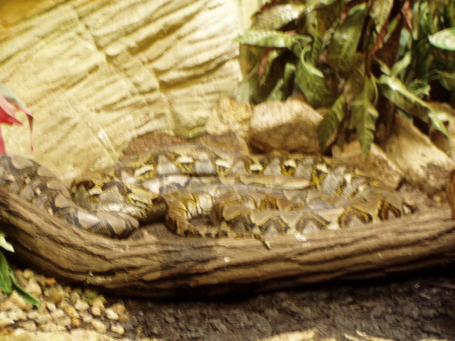 p8200244