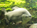 p8200262