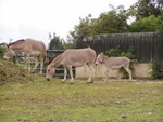 p8200268