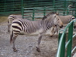 p8200271