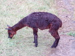 p8200274