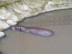 p8200299