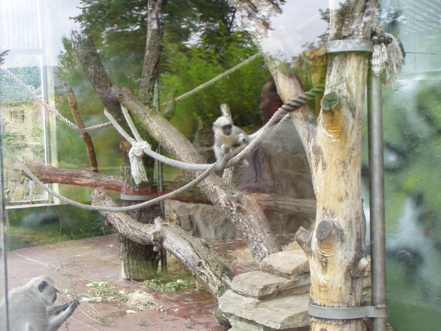 p8200312
