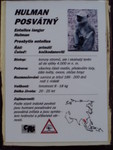 p8200314