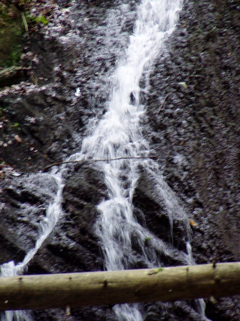 p8190121