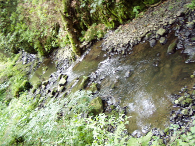 p8190125