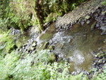 p8190125