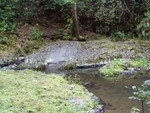 p8190137