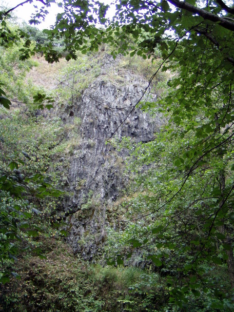 p8190138