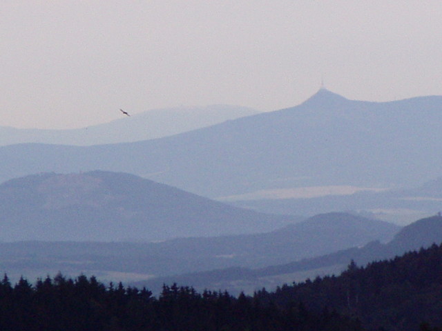 p8190141