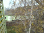 DSC00028.JPG