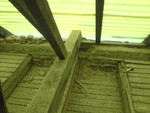 DSC00041.jpg