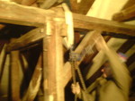 DSC00047.jpg