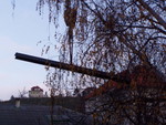 pb160074.jpg