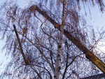 pb160076.jpg