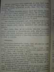 p4241233.jpg