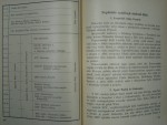 p4241260.jpg
