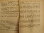 p4241292.jpg
