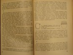 p4241310.jpg
