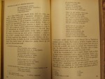p4241329.jpg