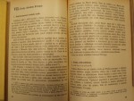 p4241331.jpg