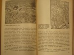 p4241332.jpg