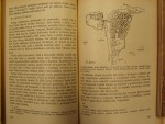 p4241334.jpg