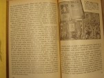 p4241341.jpg