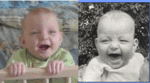 who is who.gif