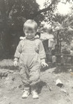 j11-cerven-1980