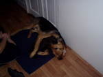 p1020001.jpg