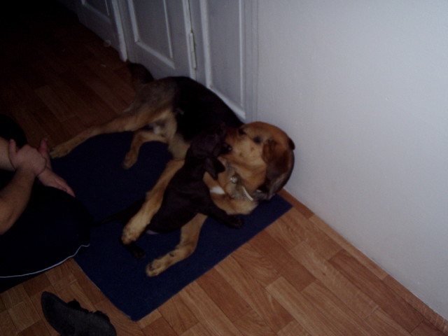 p1020002.jpg