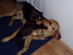 p1020003.jpg