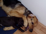 p1020004.jpg