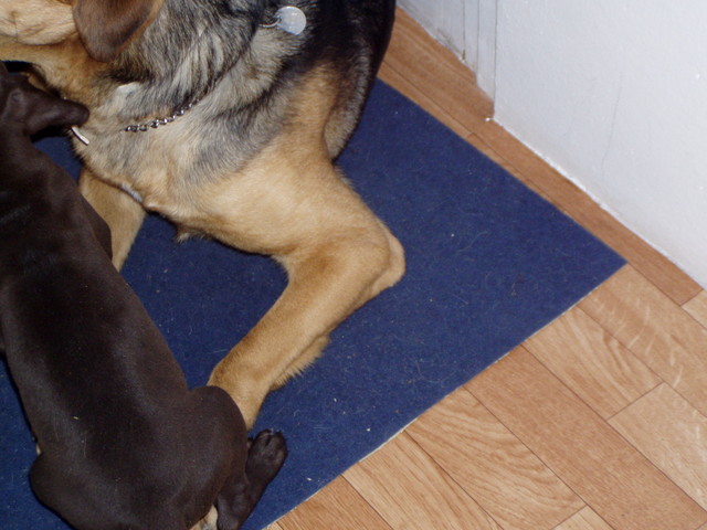 p1020006.jpg