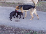 p1090001.jpg
