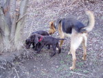 p1090004.jpg