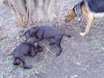 p1090005.jpg