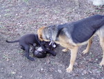 p1090006.jpg