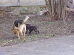 p1090007.jpg