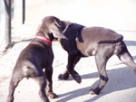 p1090008.jpg