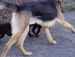 p1090013.jpg