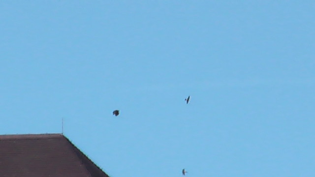 IMGA0048.JPG