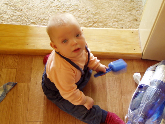 P5280671.JPG